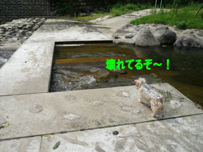 d0013645_14592191.jpg