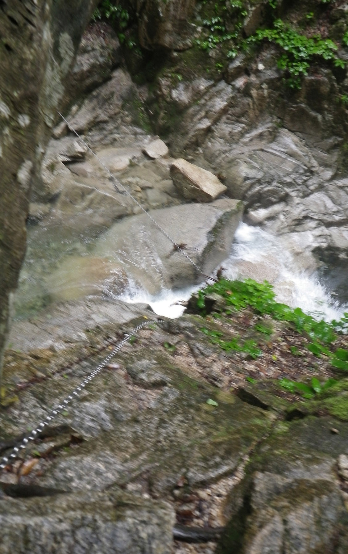 c0042847_10444947.jpg