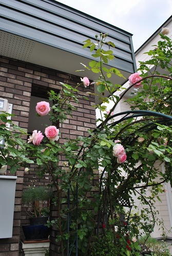e0159050_0424839.jpg