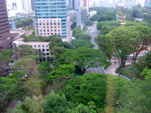 f0190653_20132783.jpg