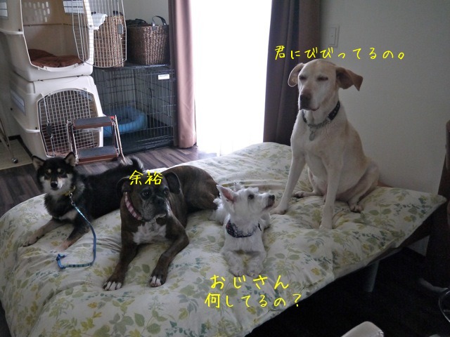 f0177261_17452049.jpg