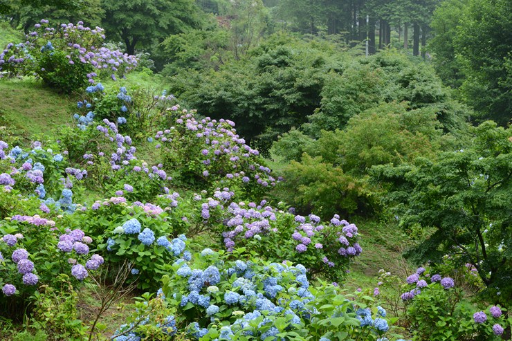 f0222161_21242697.jpg
