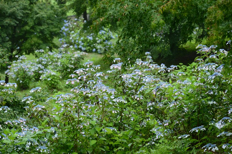 f0222161_21243241.jpg