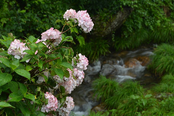 f0222161_2124441.jpg