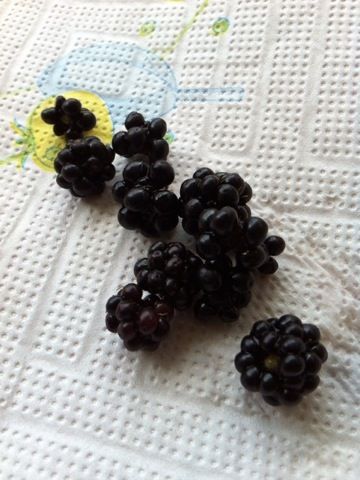 c0102268_21595325.jpg