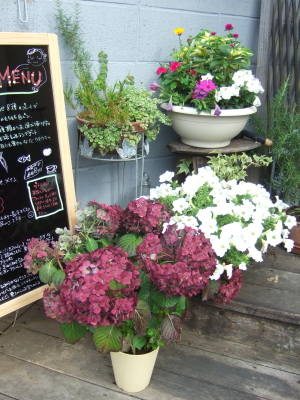 e0142170_11311143.jpg