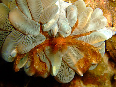 b0033573_2313834.jpg