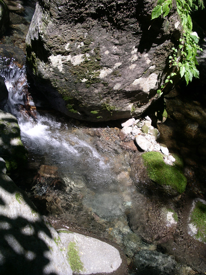 e0118274_21191325.jpg