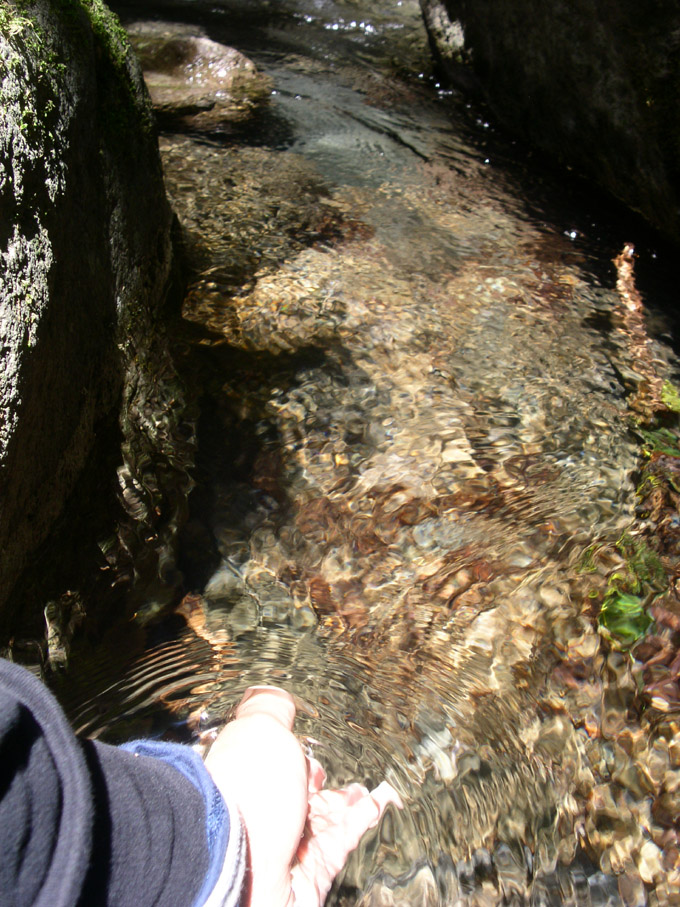 e0118274_21243557.jpg