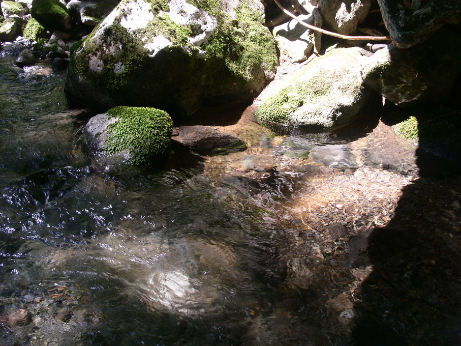 e0118274_21768.jpg