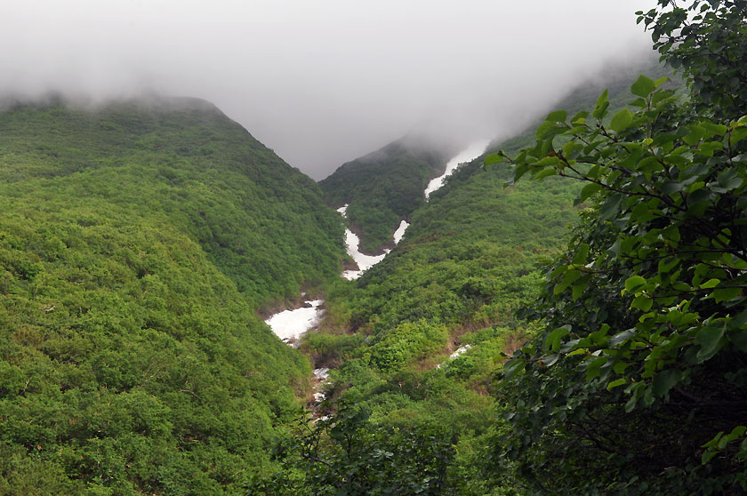 f0109977_424574.jpg