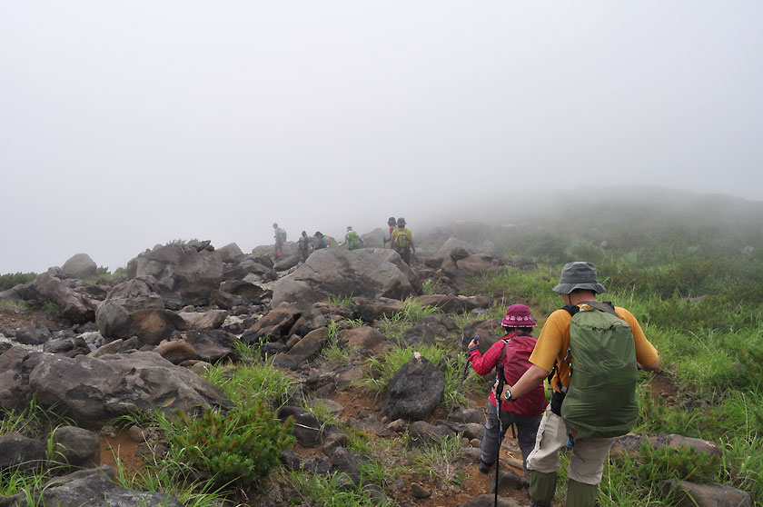 f0109977_4335142.jpg
