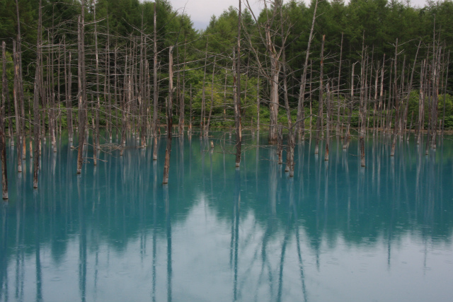 b0003280_22422368.jpg