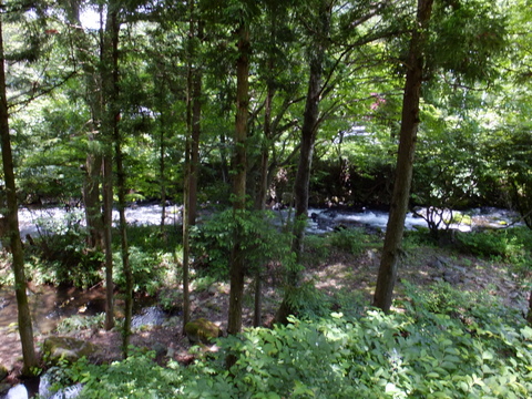 a0043982_16202548.jpg