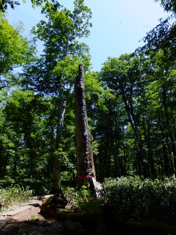 a0043982_16211188.jpg
