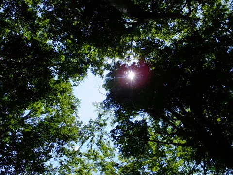 a0043982_1621151.jpg