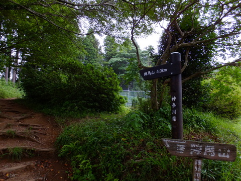 a0043982_17295540.jpg