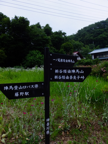 a0043982_17301217.jpg