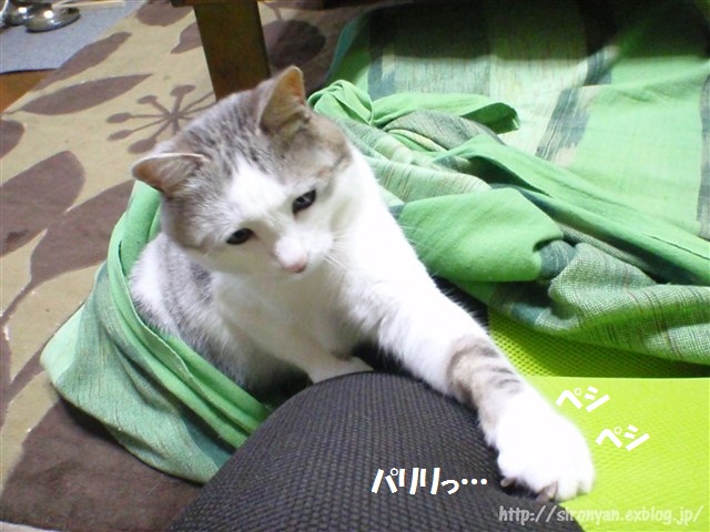 a0159490_1649616.jpg