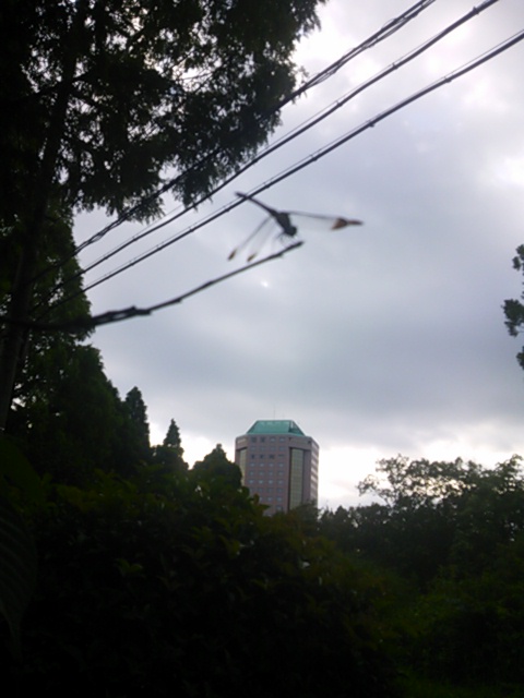 a0237391_22244519.jpg