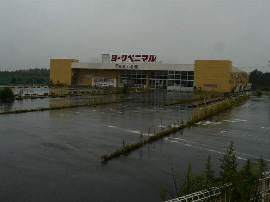 a0272591_20381371.jpg