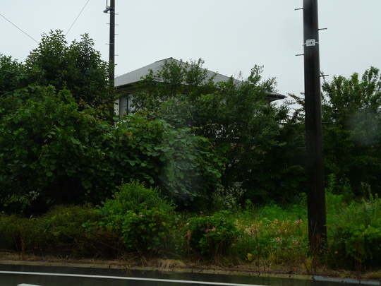 a0272591_2047963.jpg