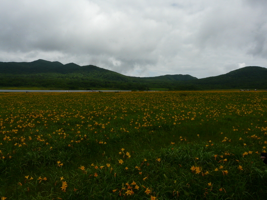 a0272591_22264066.jpg