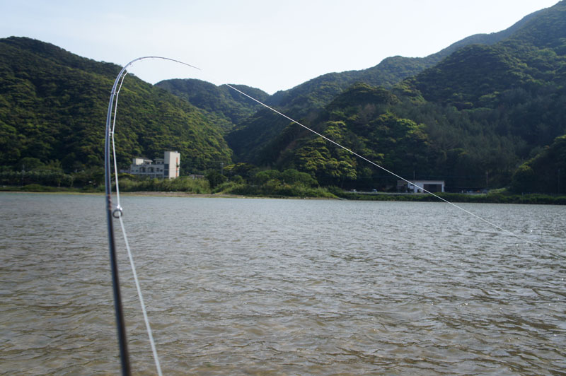 f0219901_16304190.jpg
