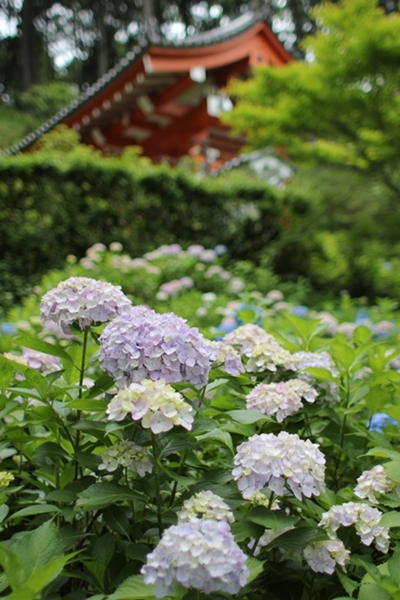 c0228404_234040.jpg