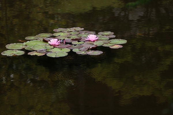 c0228404_2342595.jpg