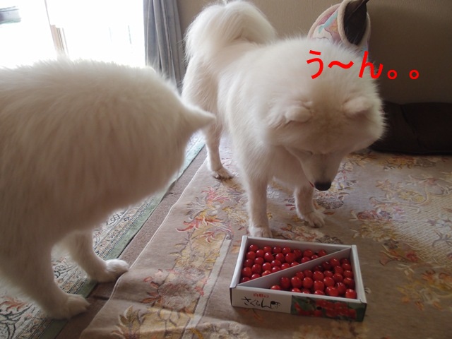 e0018604_10511313.jpg