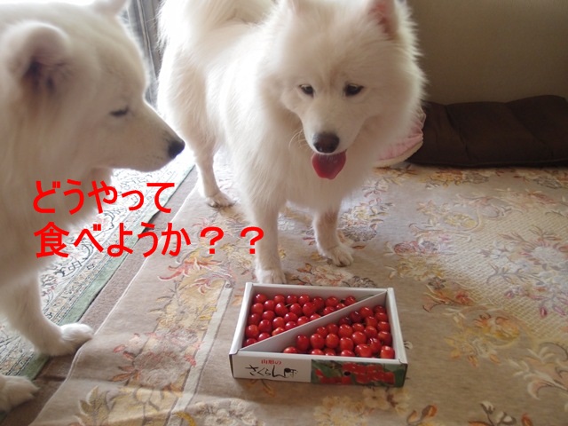 e0018604_1051766.jpg