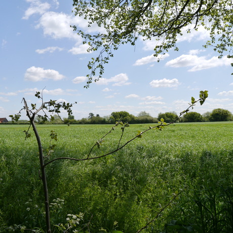 d0254707_112247.jpg