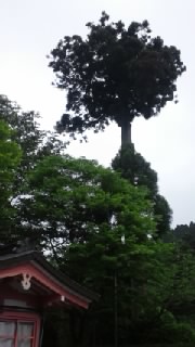 e0027813_14461626.jpg