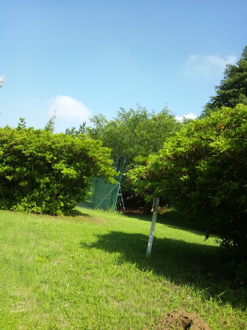c0150520_031633.jpg
