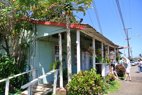 e0219520_16144631.jpg