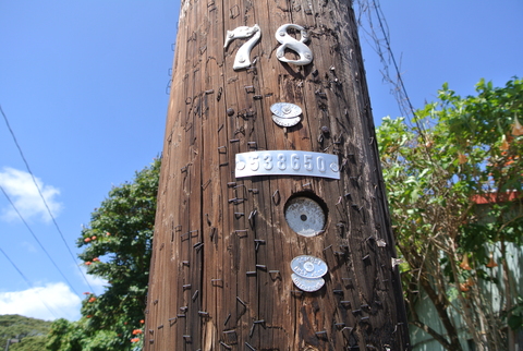 e0219520_1620937.jpg