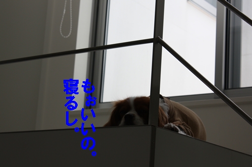 d0165124_22361466.jpg