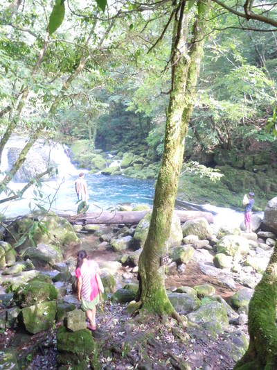 b0157528_13291783.jpg