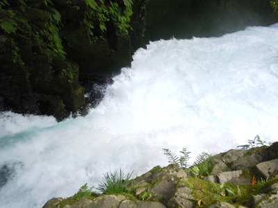 b0157528_13344965.jpg