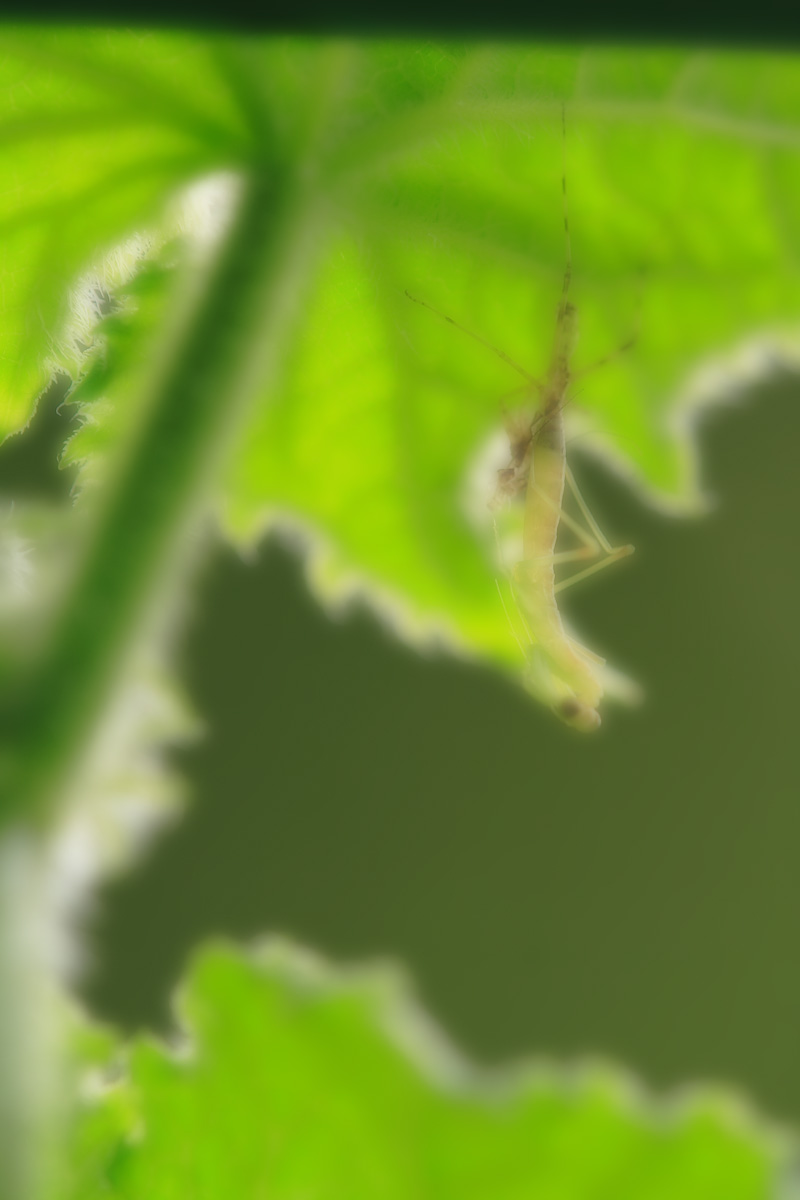 b0222029_20123184.jpg