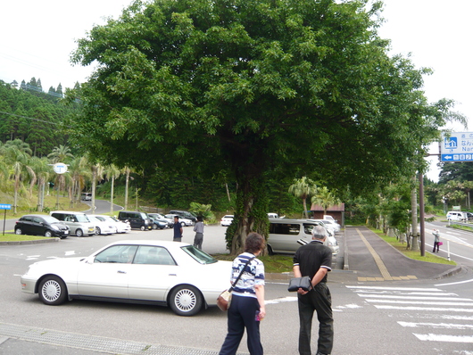 a0206332_7522177.jpg