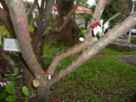 a0206332_7564012.jpg