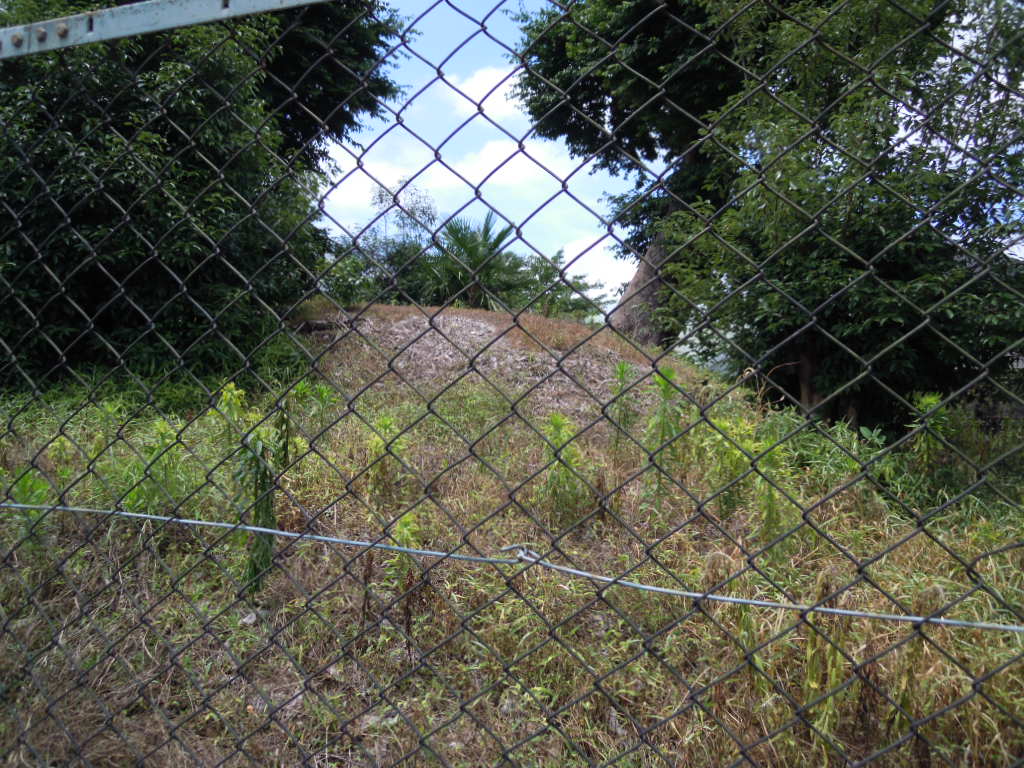 e0081334_1049770.jpg