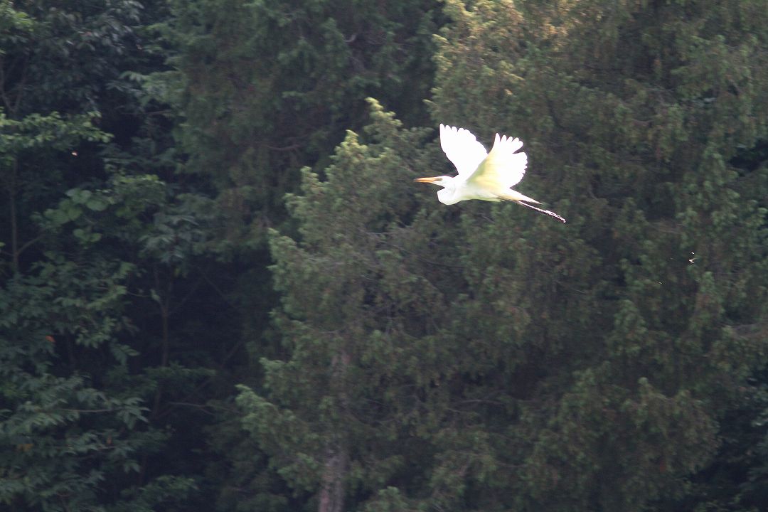 c0172139_7142214.jpg
