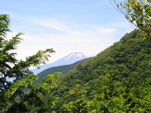 a0048040_20575870.jpg