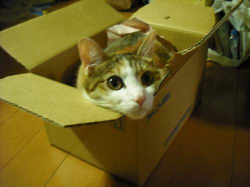 c0194042_20375457.jpg
