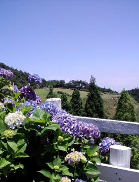c0236542_12455278.jpg