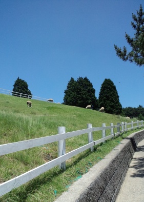 c0236542_12585928.jpg