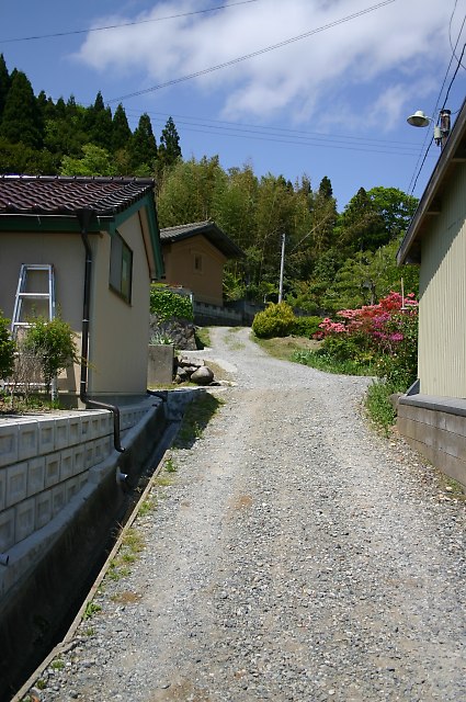 a0265144_9193491.jpg